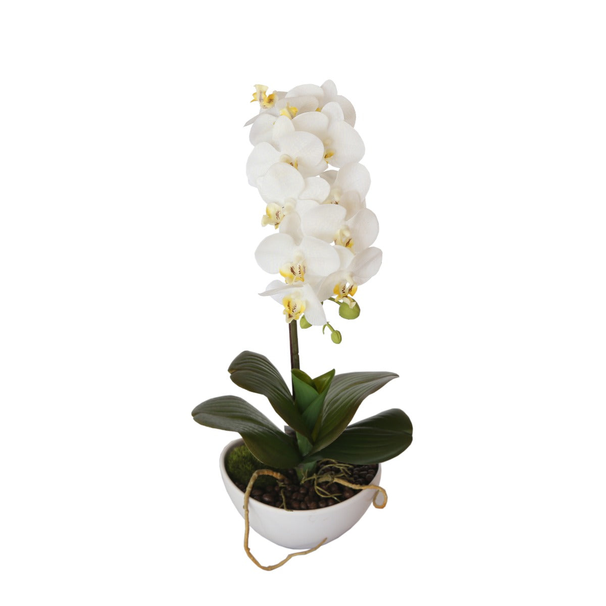 46cm Butterfly Orchid - White - image2