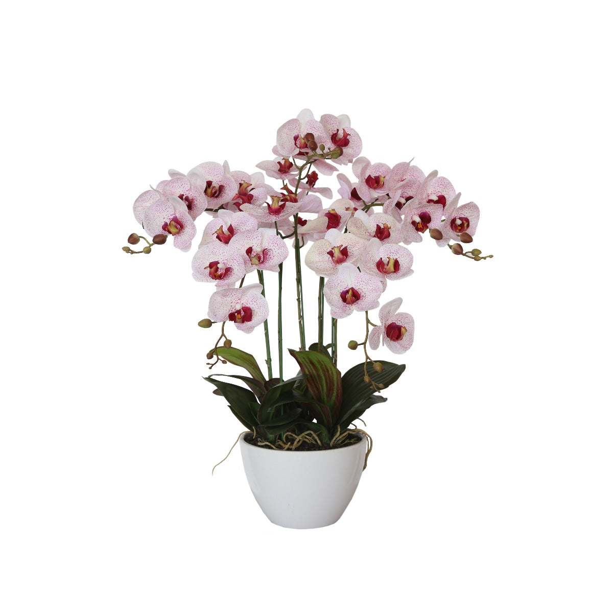 66cm Multi Butterfly Orchid - Pink - image1