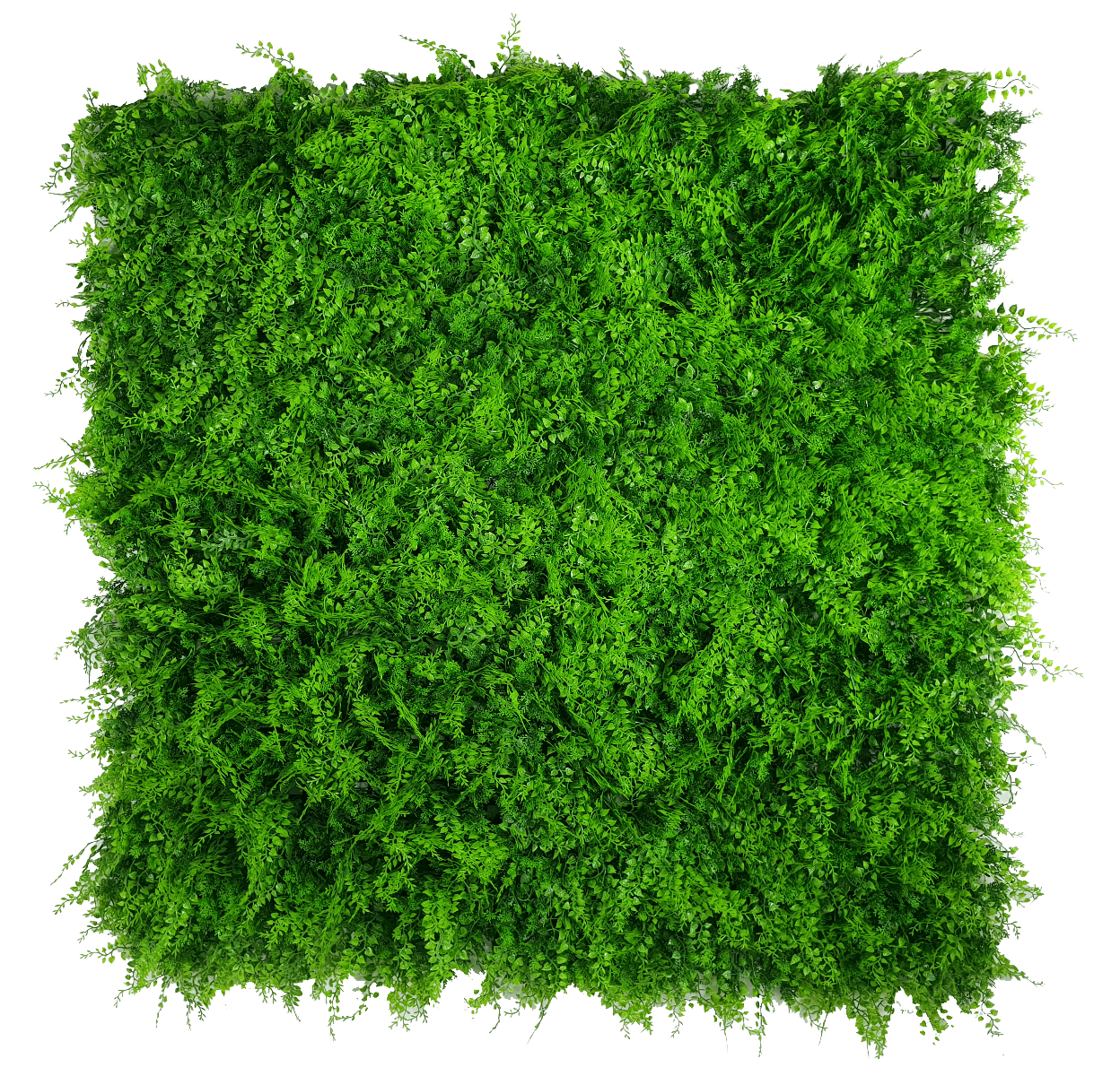 Mediterranean Fern Vertical Garden UV Stabilised 1m X 1m - image1