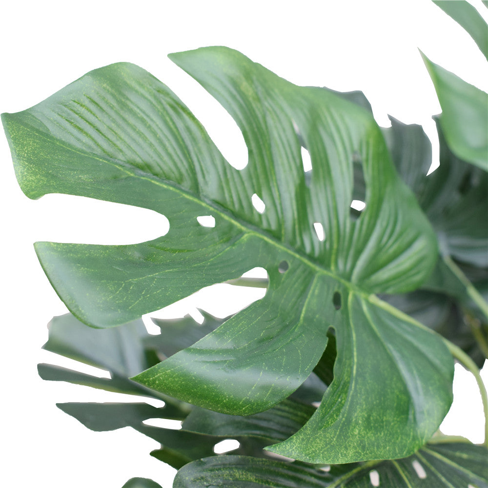 Potted Split Philodendron (Monstera) 40 cm - image4