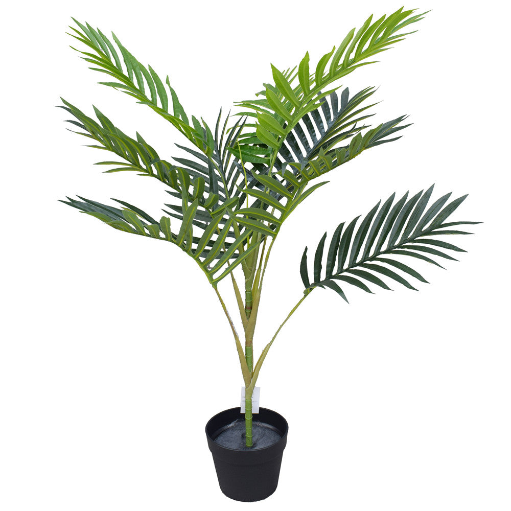 Potted Mountain Palm 100cm - image1