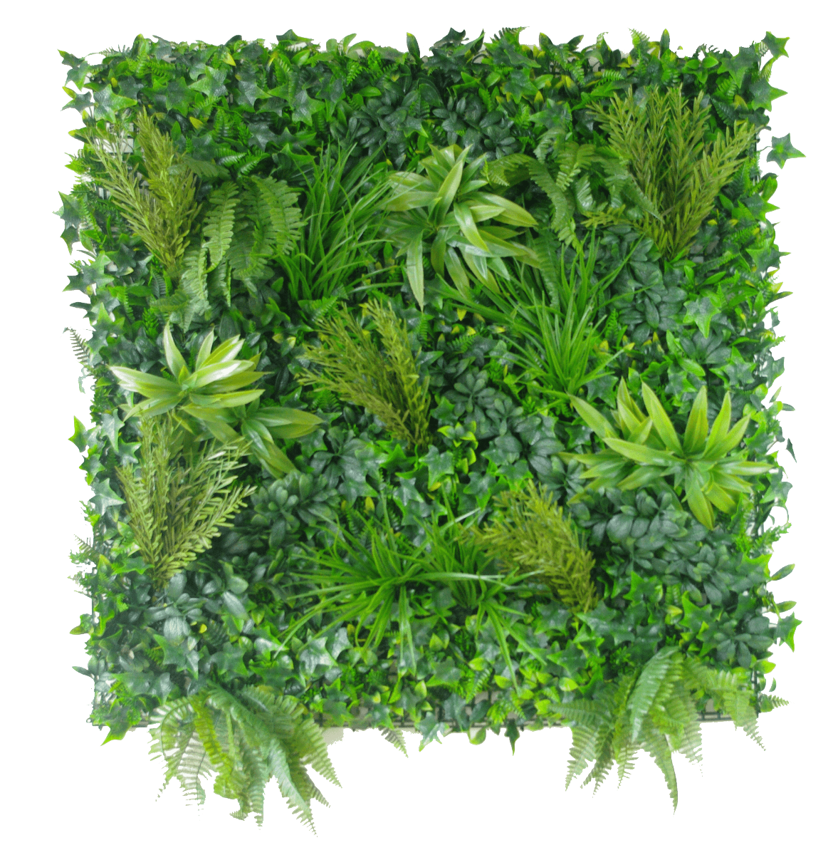 Native Tea Tree Vertical Garden / Green Wall UV Resistant 100cm x 100cm - image1