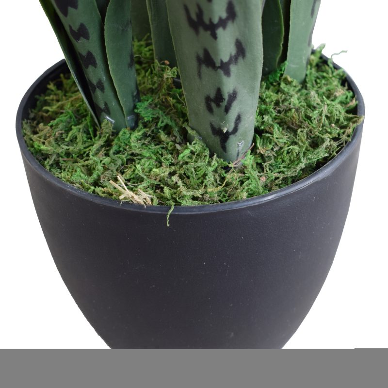 Snake Plant UV Resistant 60cm - image2